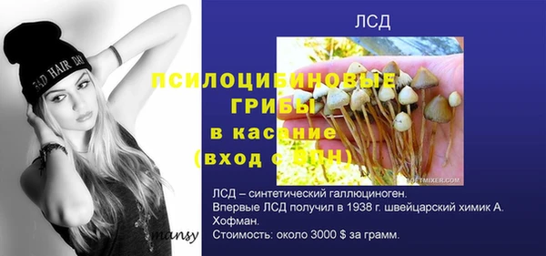 кристаллы Новодвинск