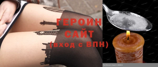прущие грибы Новозыбков