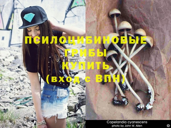МДПВ Нефтекумск