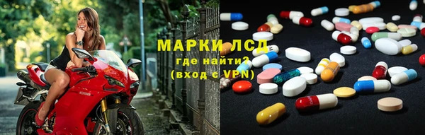 прущие грибы Новозыбков