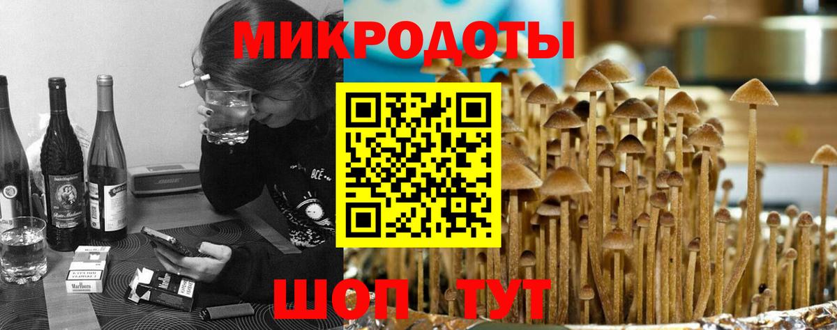Галлюциногенные грибы Psilocybe  цены   Псилоцибиновые грибы GOLDEN TEACHER  Белореченск  Вход с VPN 